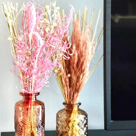 Apartament Cappuccino Lesa